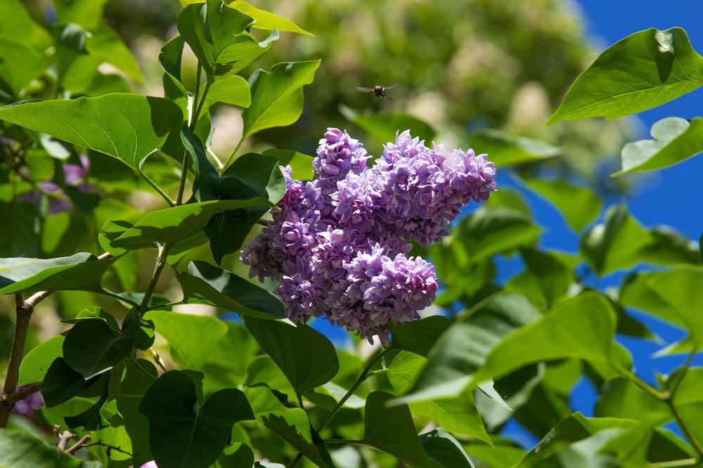 Photograph by Светлана Паренкова