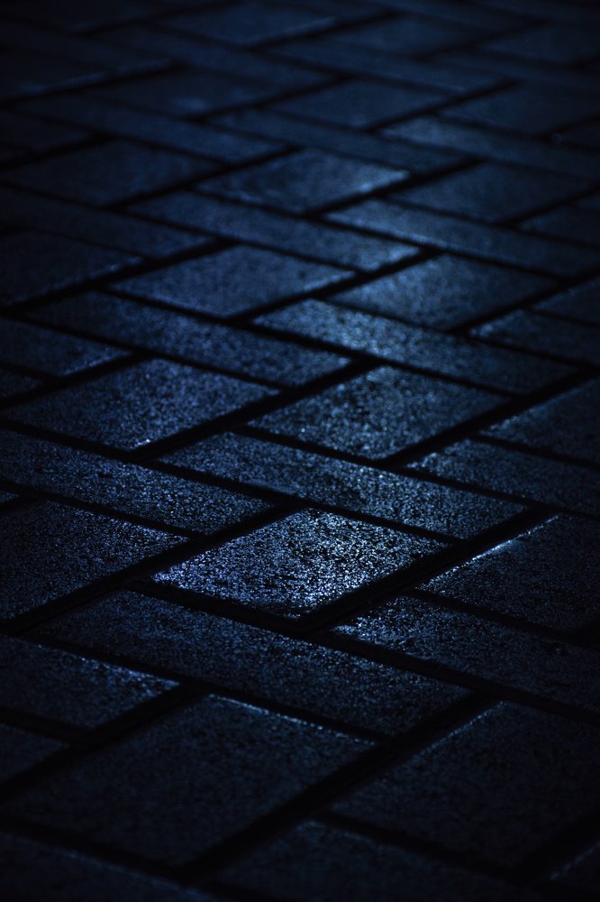 Фотография автора Mohsen Tavakoli