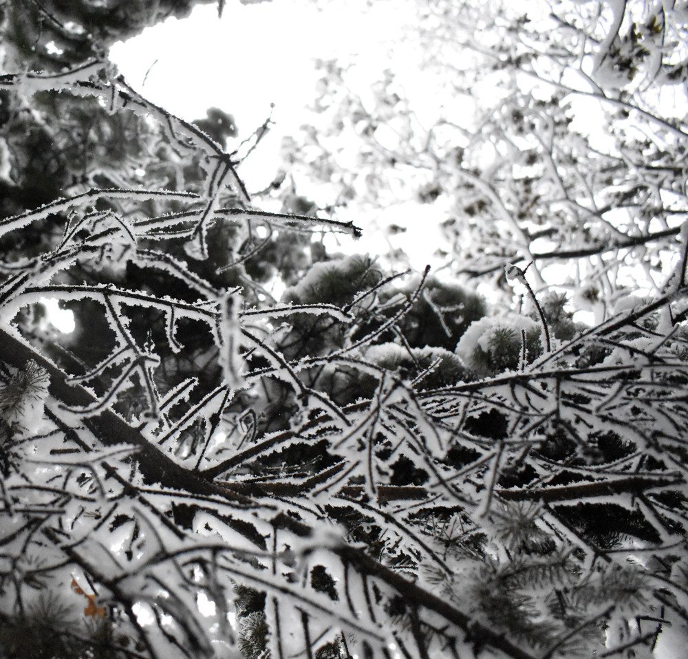 Photograph by Тарасова Инна