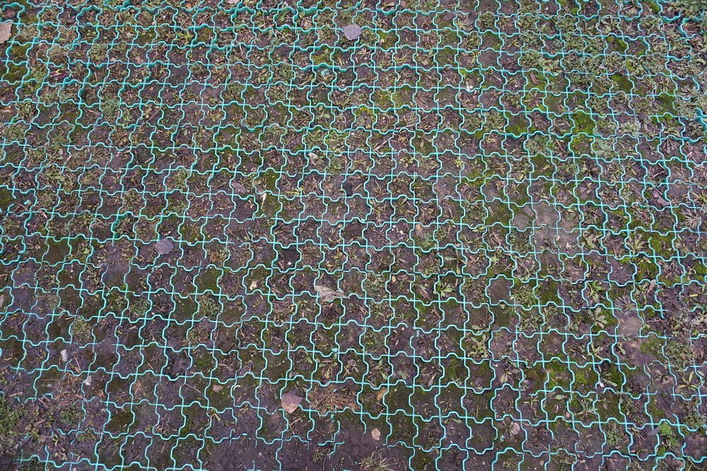 Photograph by Елена Никонова