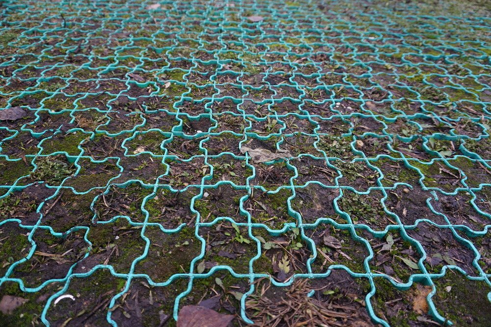 Photograph by Елена Никонова