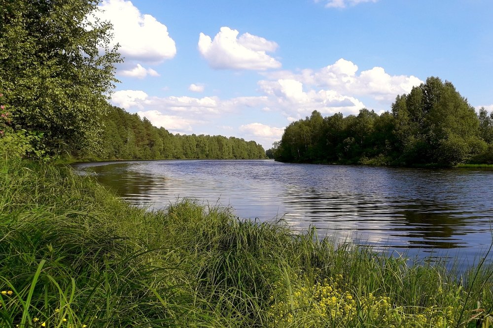 Ёляты.