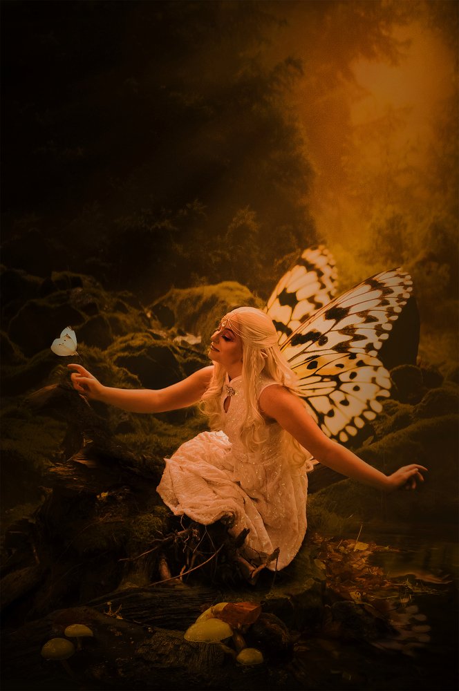 Photograph by Bernd Schirmer