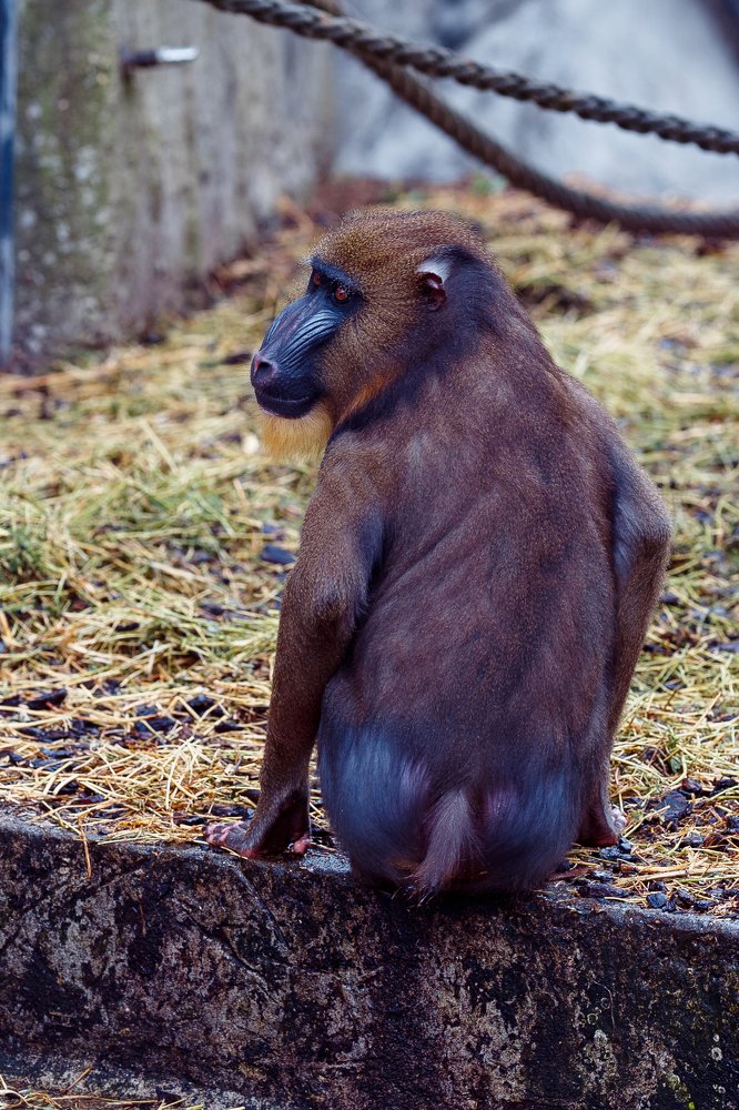 Photograph by Anatoliy Veysberg
