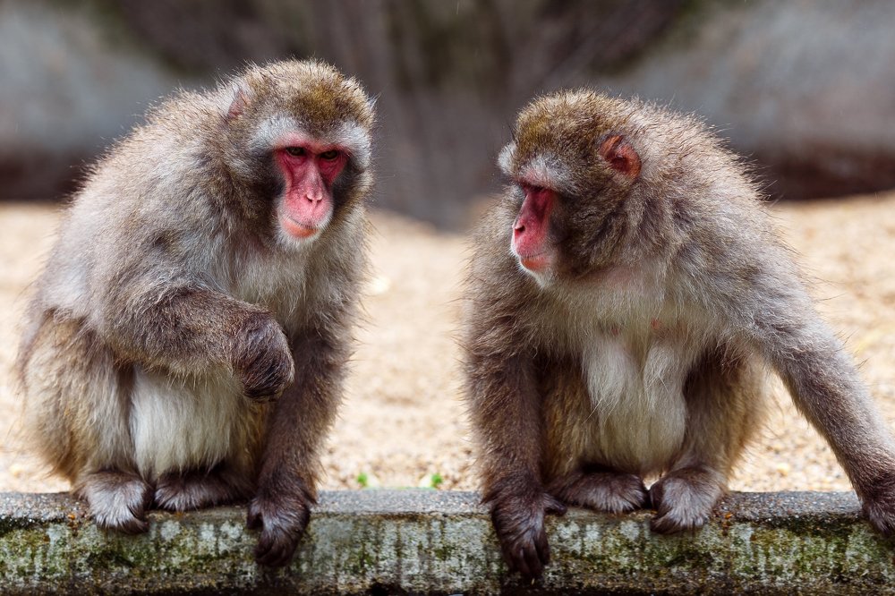 Photograph by Anatoliy Veysberg