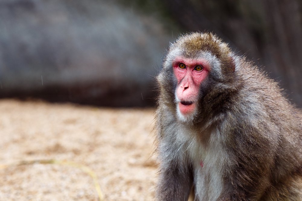 Photograph by Anatoliy Veysberg