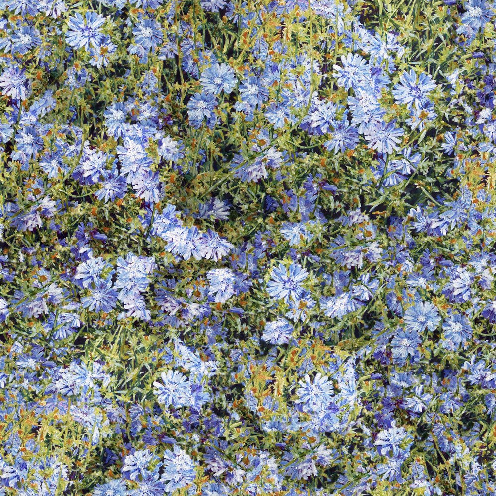 Photograph by Тарасова Инна