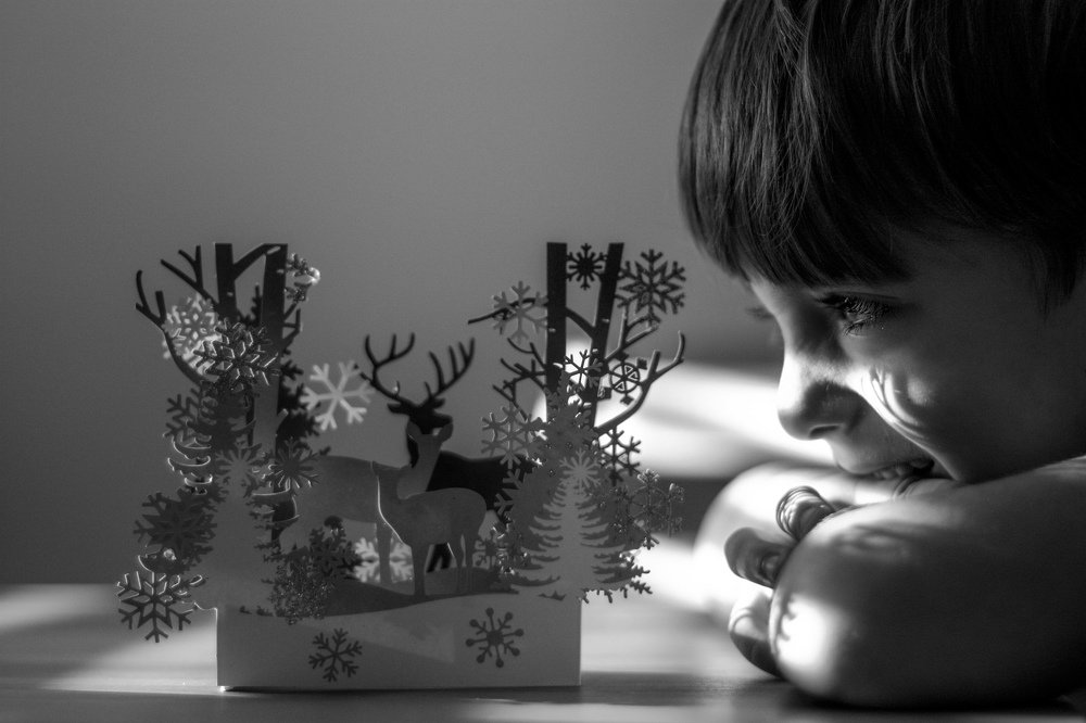 Photograph by Liudmyla Melnyk