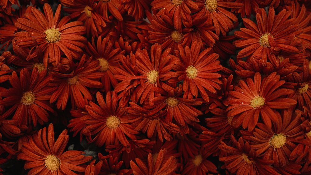 Photograph by Артём Корнев