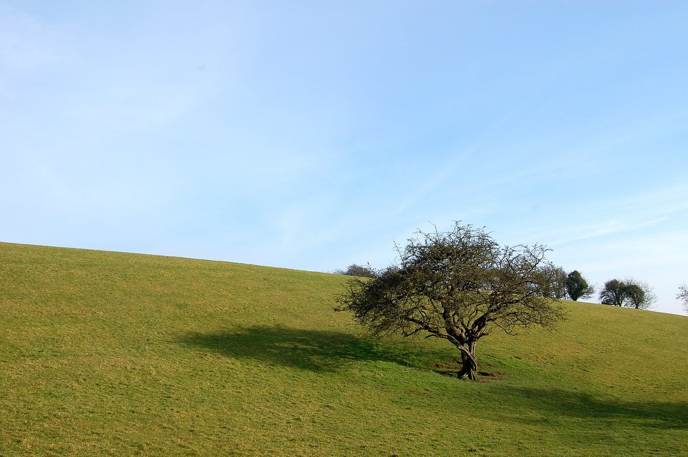 Photograph by Daria Kaloshina