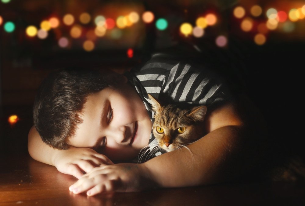 Photograph by Алёна Горбылева