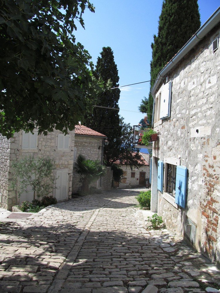 Photograph by Наталья Ткаченко