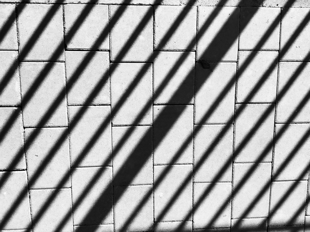 Photograph by Анастасия Ломаева