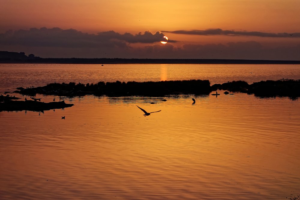 Photograph by Jose Pereira