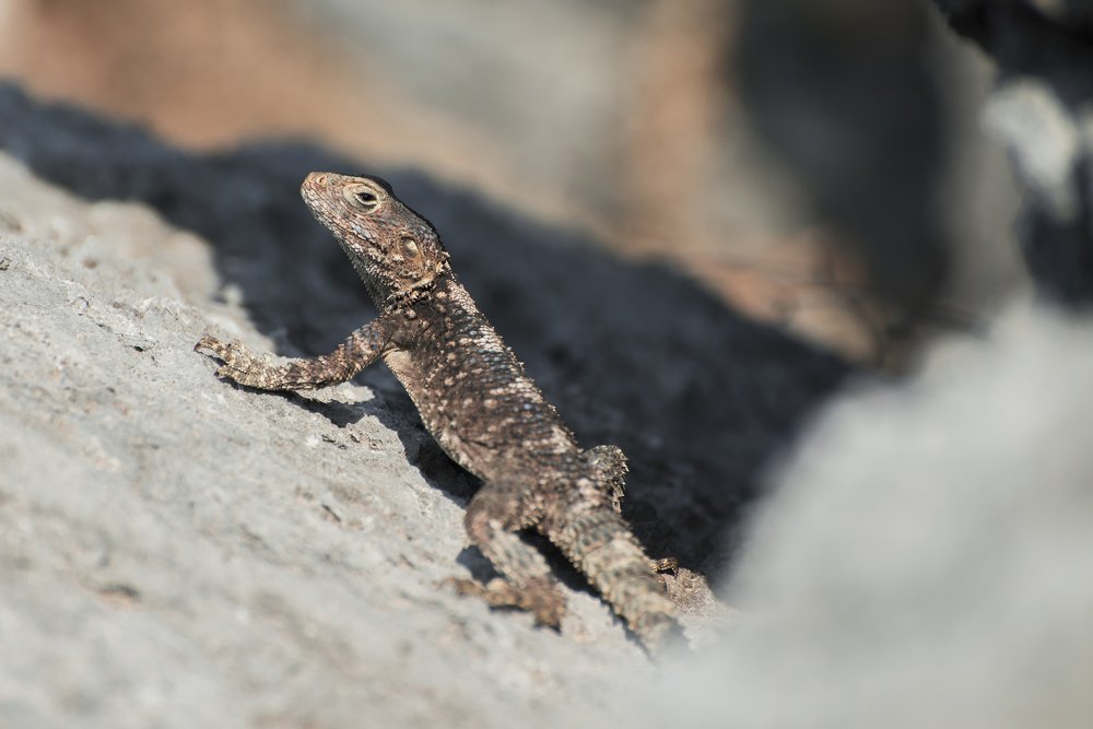 Photograph by Ekaterina Fadeeva