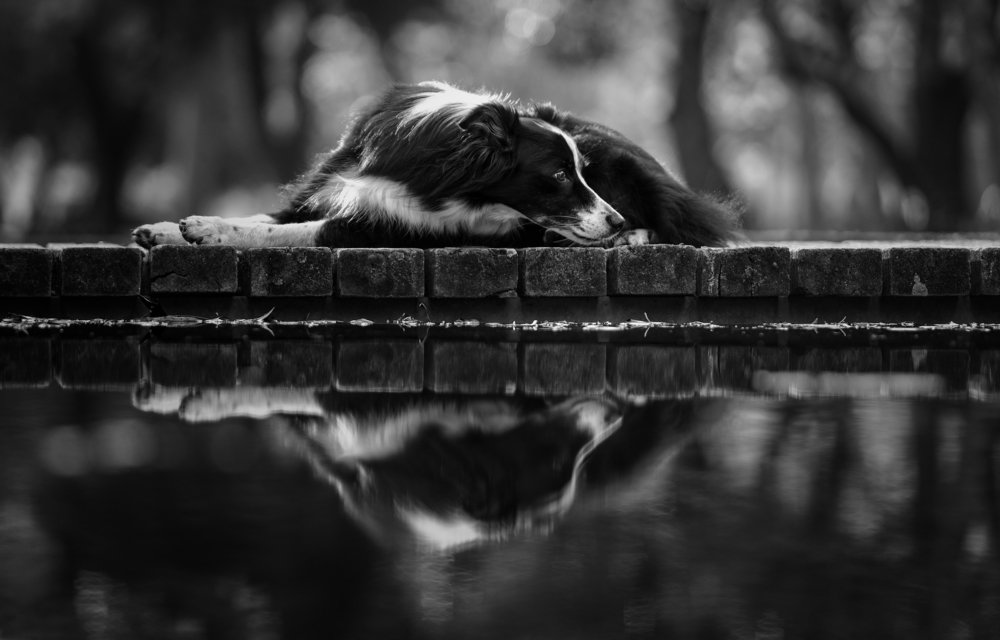 Photograph by Alexandre Marques