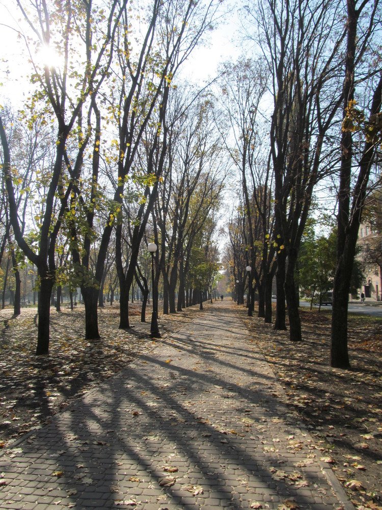 Photograph by АНДРЕЙ (Andrey) КАРТАШОВ (Kartashov)