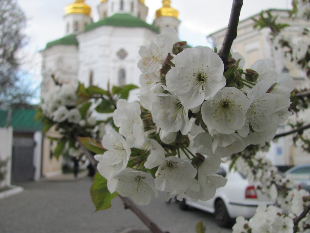 Photograph by АНДРЕЙ (Andrey) КАРТАШОВ (Kartashov)