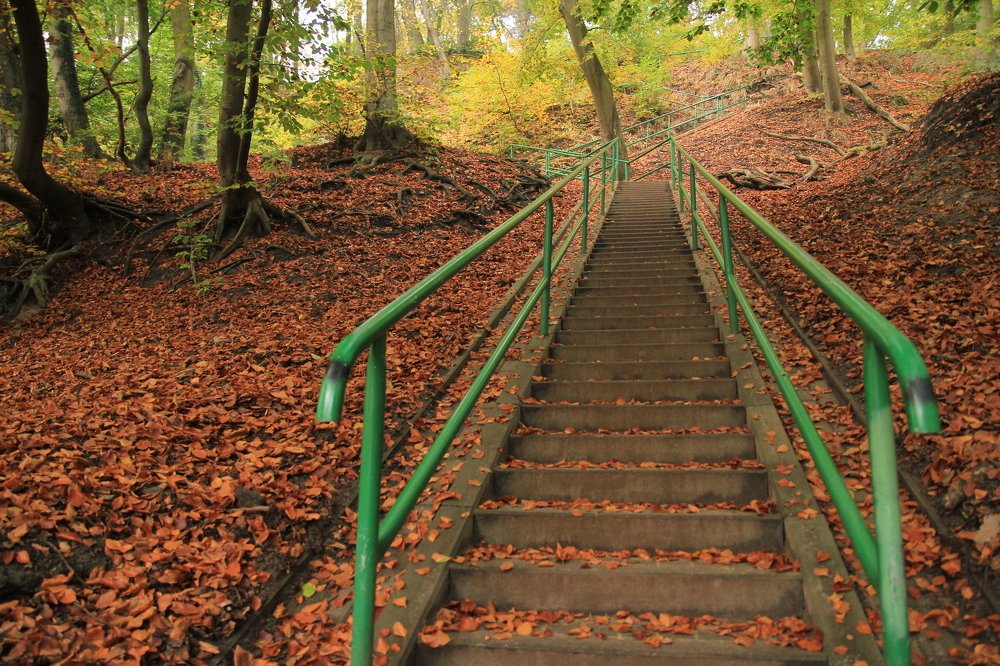 Photograph by Barbara Podlecka