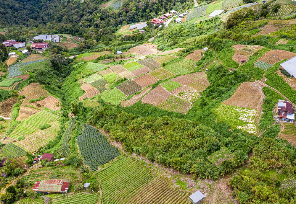 Find number of farmers in these fields