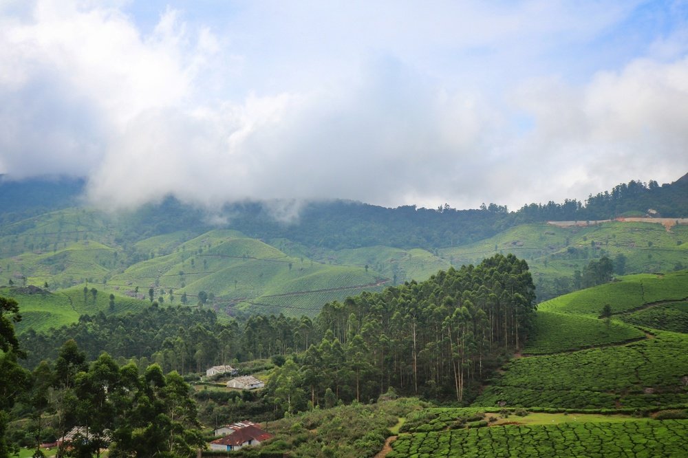 Photograph by John britto