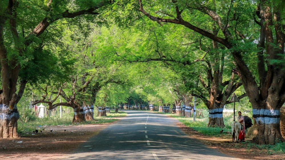 Photograph by John britto