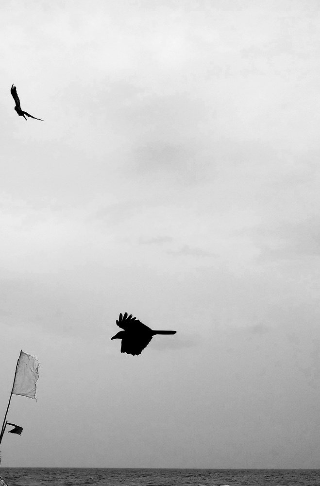 Photograph by Gopinath Duraisamy