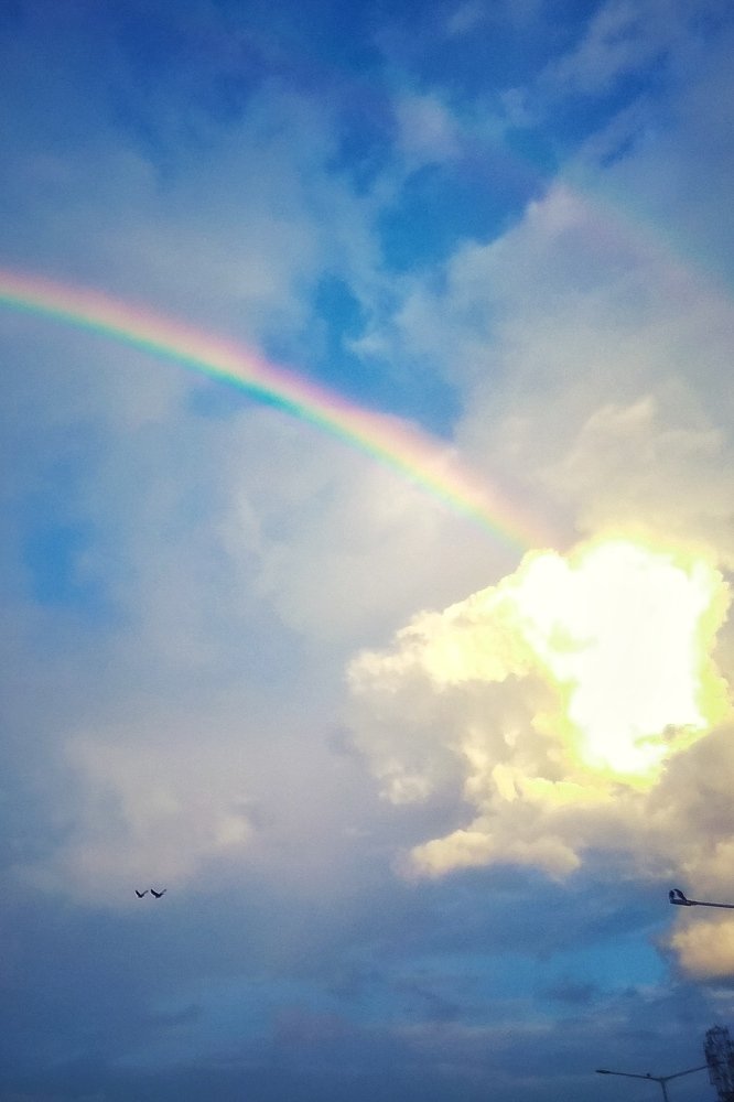 Photograph by John britto