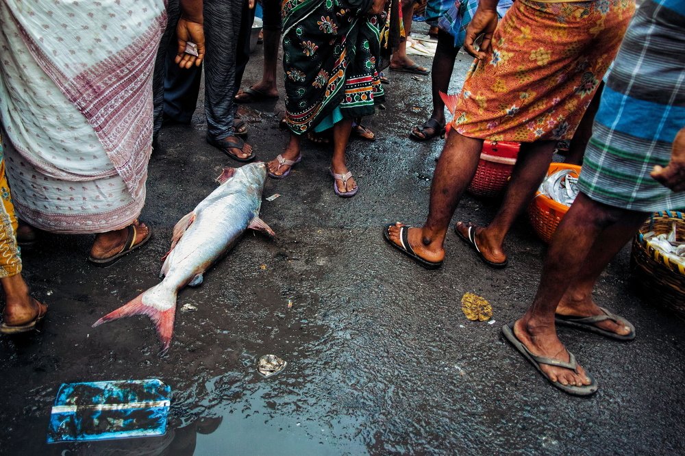 Photograph by Gopinath Duraisamy
