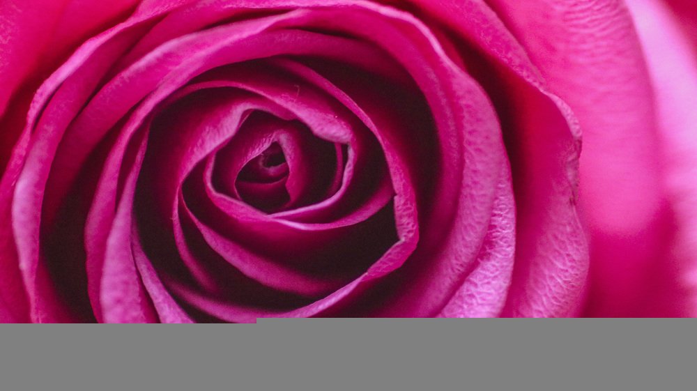 Photograph by jayson gabutan