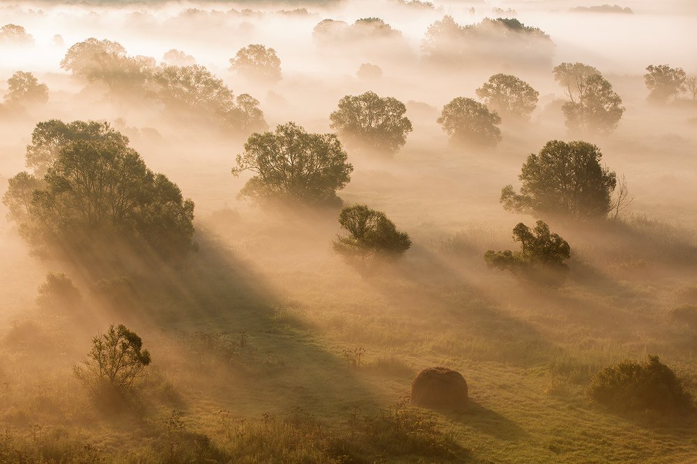 Фотография автора Юрий Сорокин