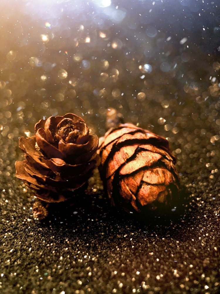 Photograph by Екатерина Безуглова