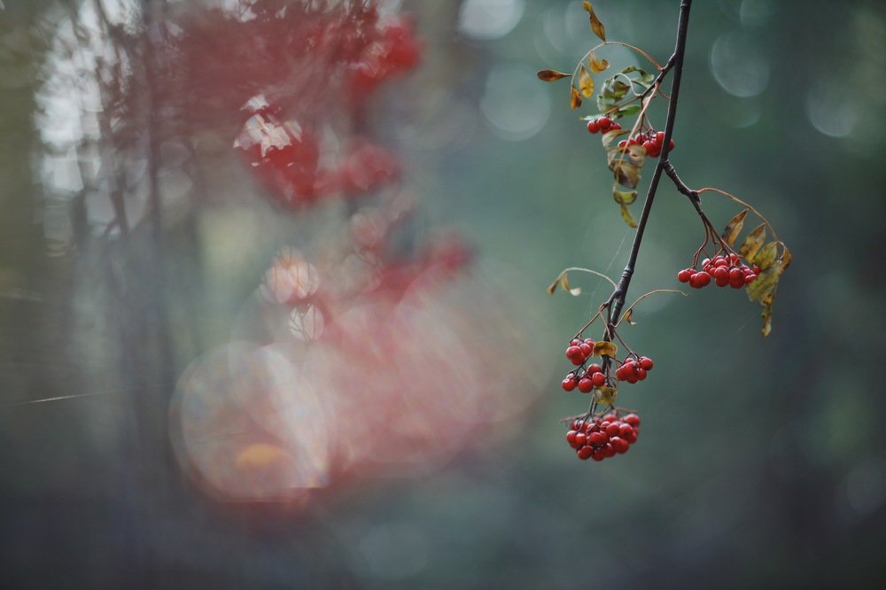 Photograph by Ксения Шен