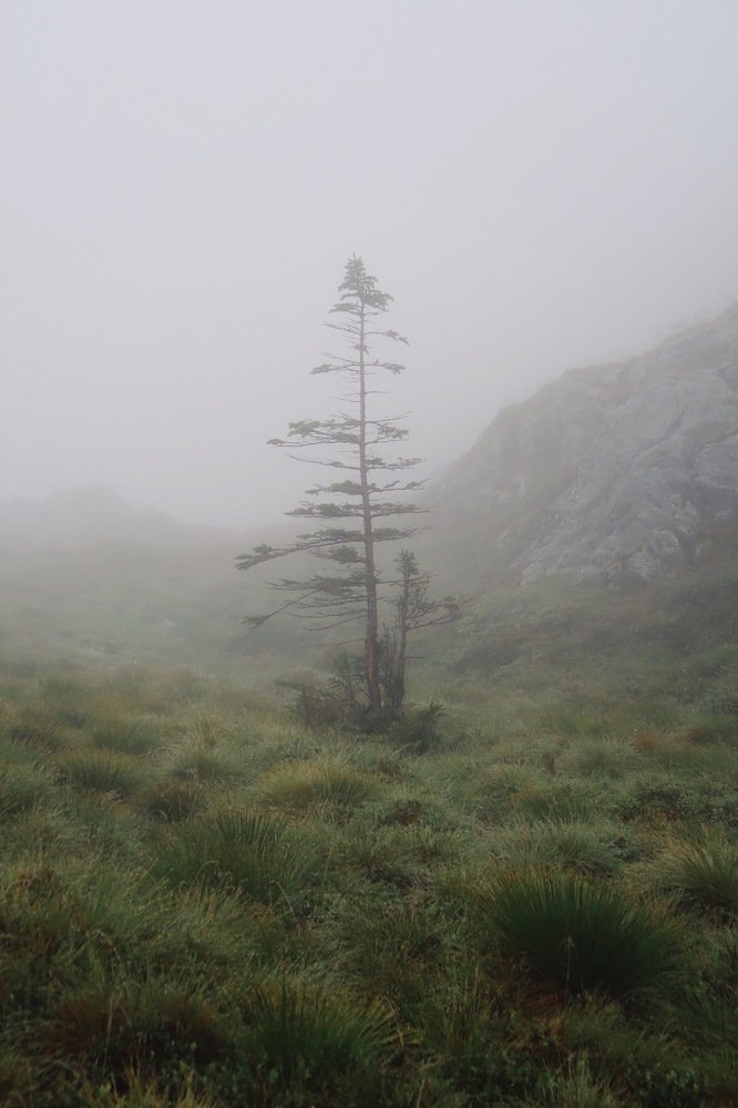 Photograph by Ксения Шен