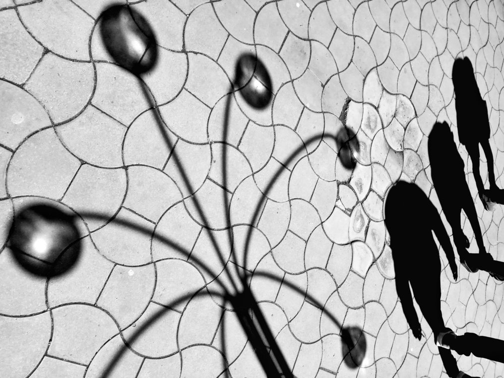 Фотография автора Dmitriy Zhuravlev