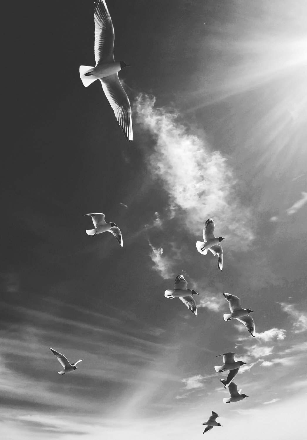 Photo #4017354