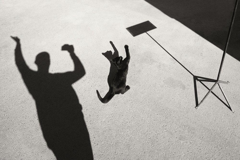 Photograph by Антон Бурляев