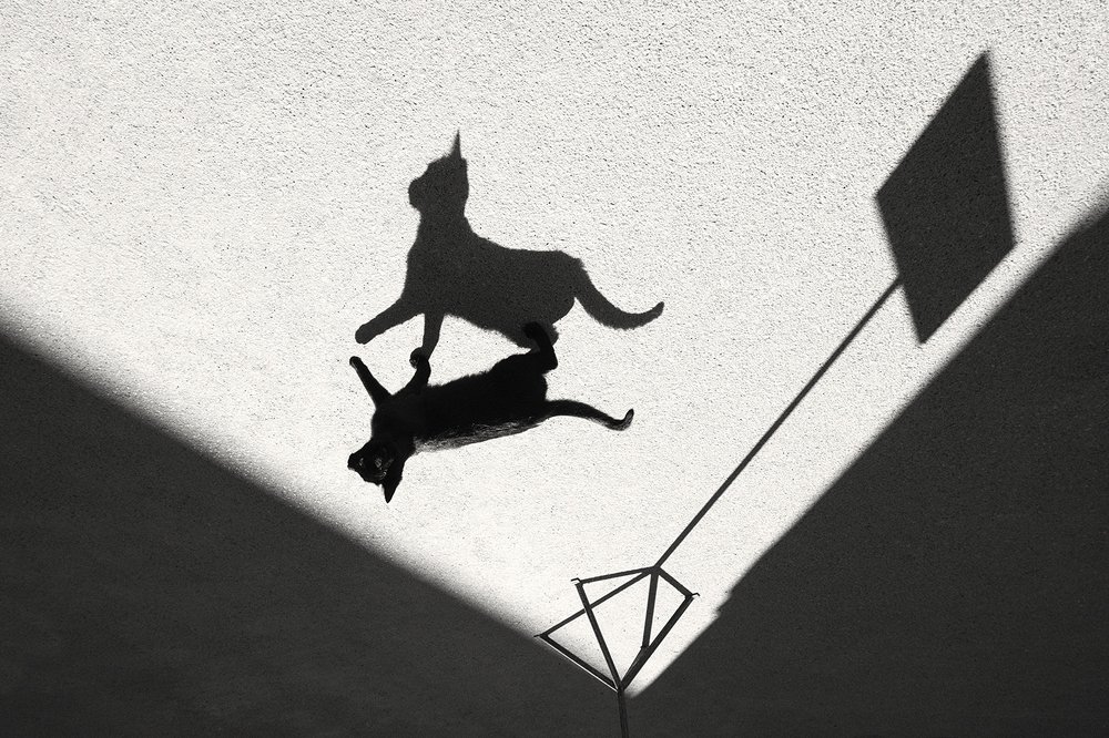 Photograph by Антон Бурляев