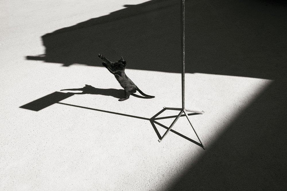 Photograph by Антон Бурляев