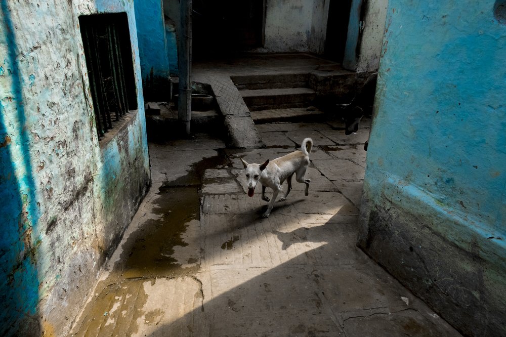 Photograph by Gupta Rishabh