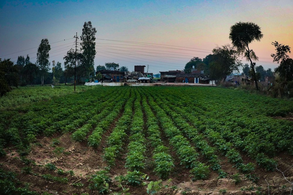 Photograph by Gupta Rishabh