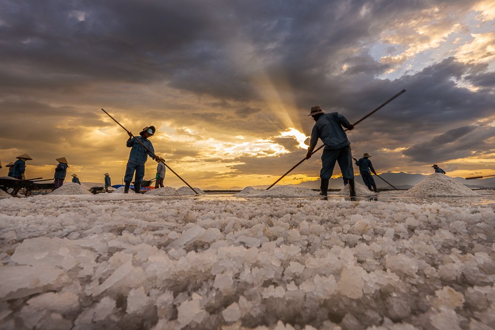 Afternoon sun on salt fields