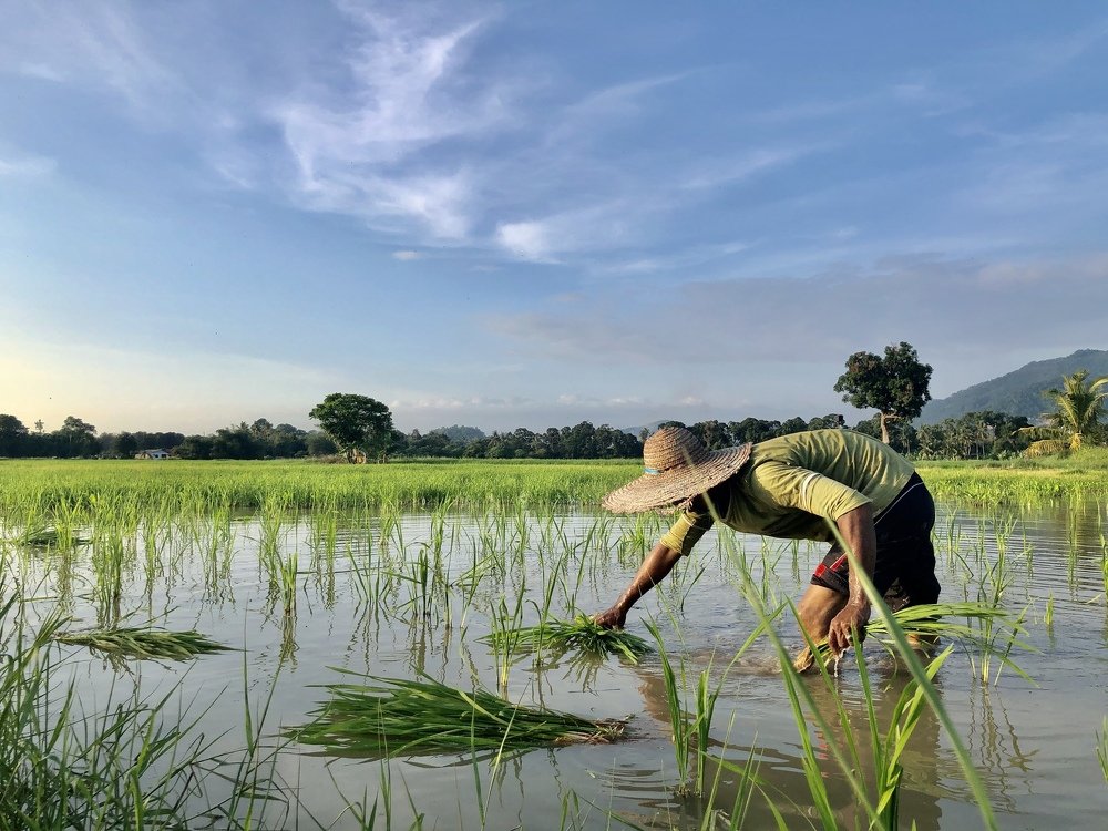 Photograph by Nur Amin Abd Rahim