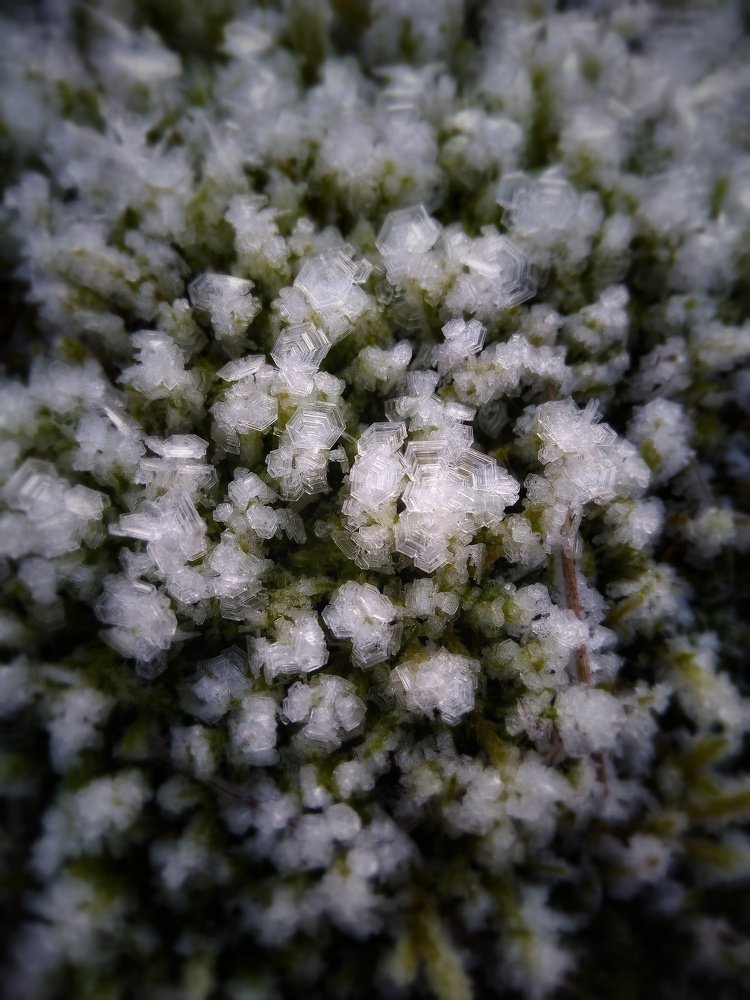 Фотография автора Виктор Конев