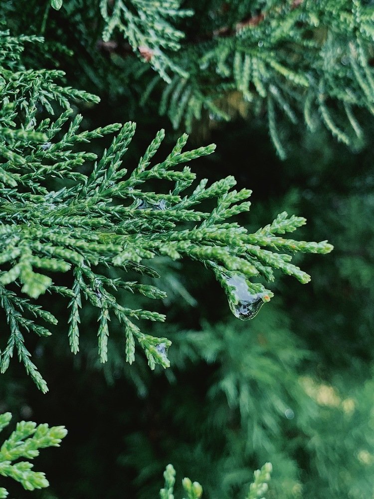 Photograph by Мария