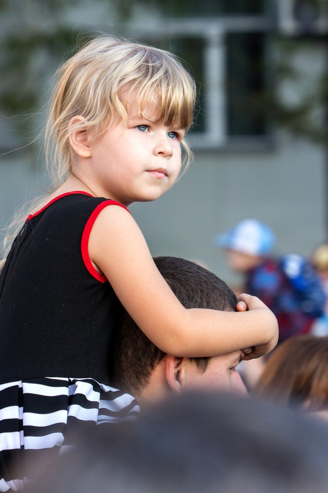 Высоко сижу, далеко гляжу!