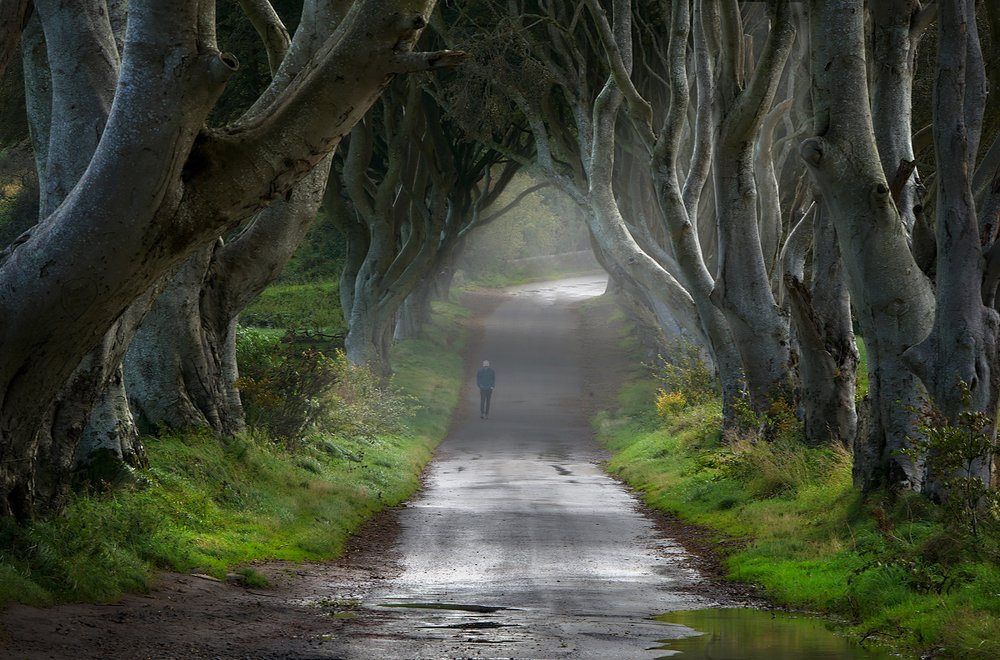 Photograph by Boris Bekelman