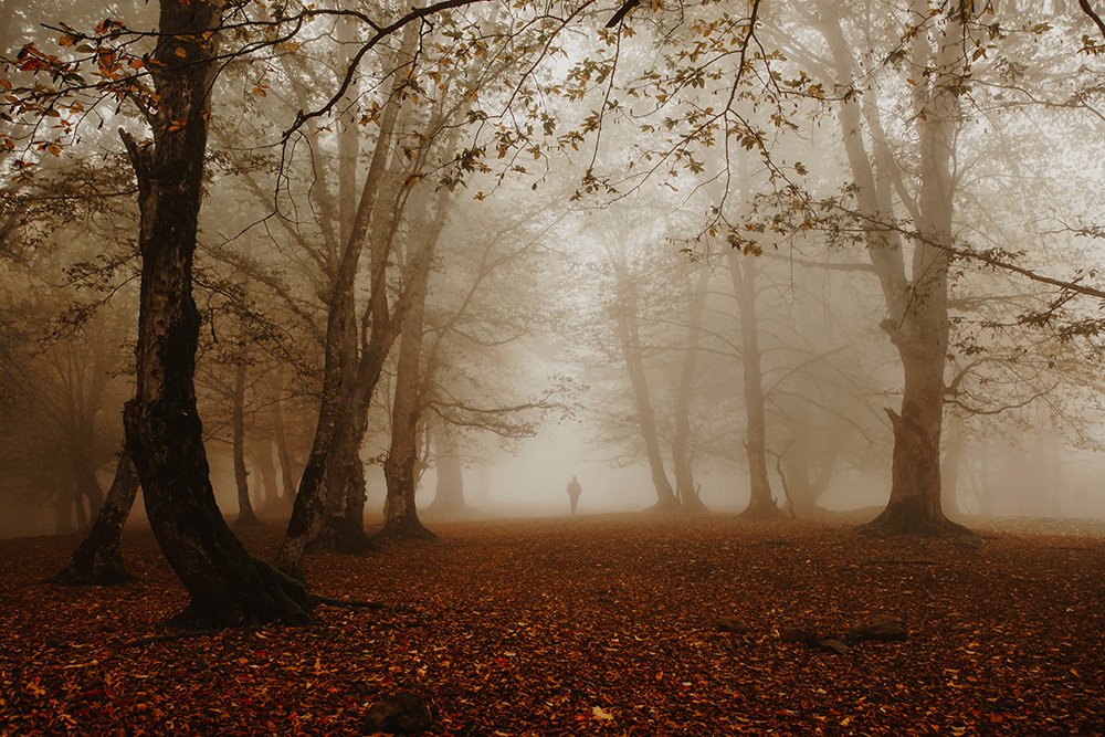 Photograph by shahin khalaji