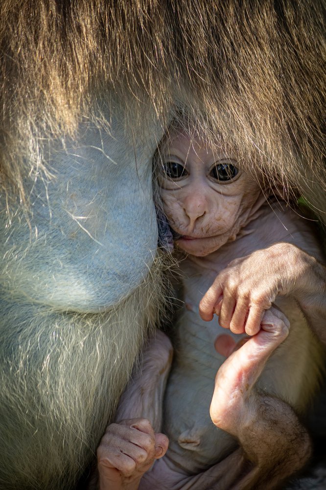 Photograph by Jaspreet Singh