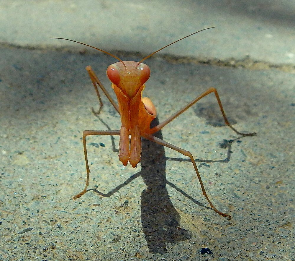 Photograph by Евгений Евдокимов